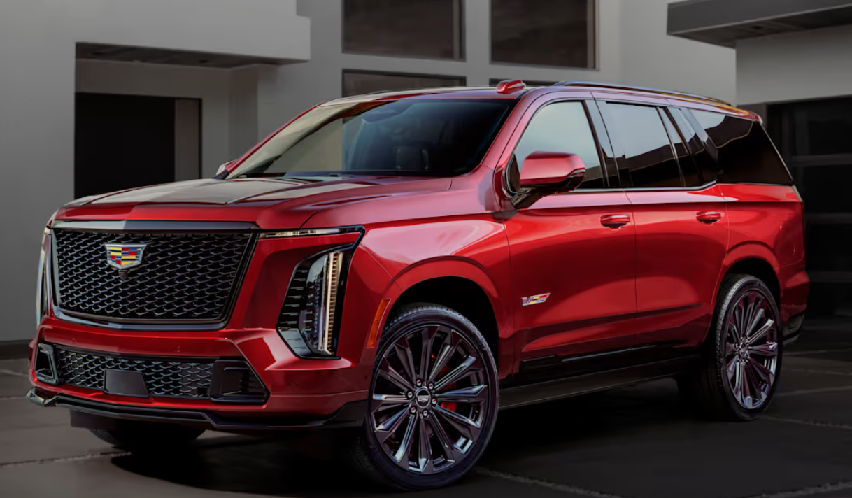 سكاليد
