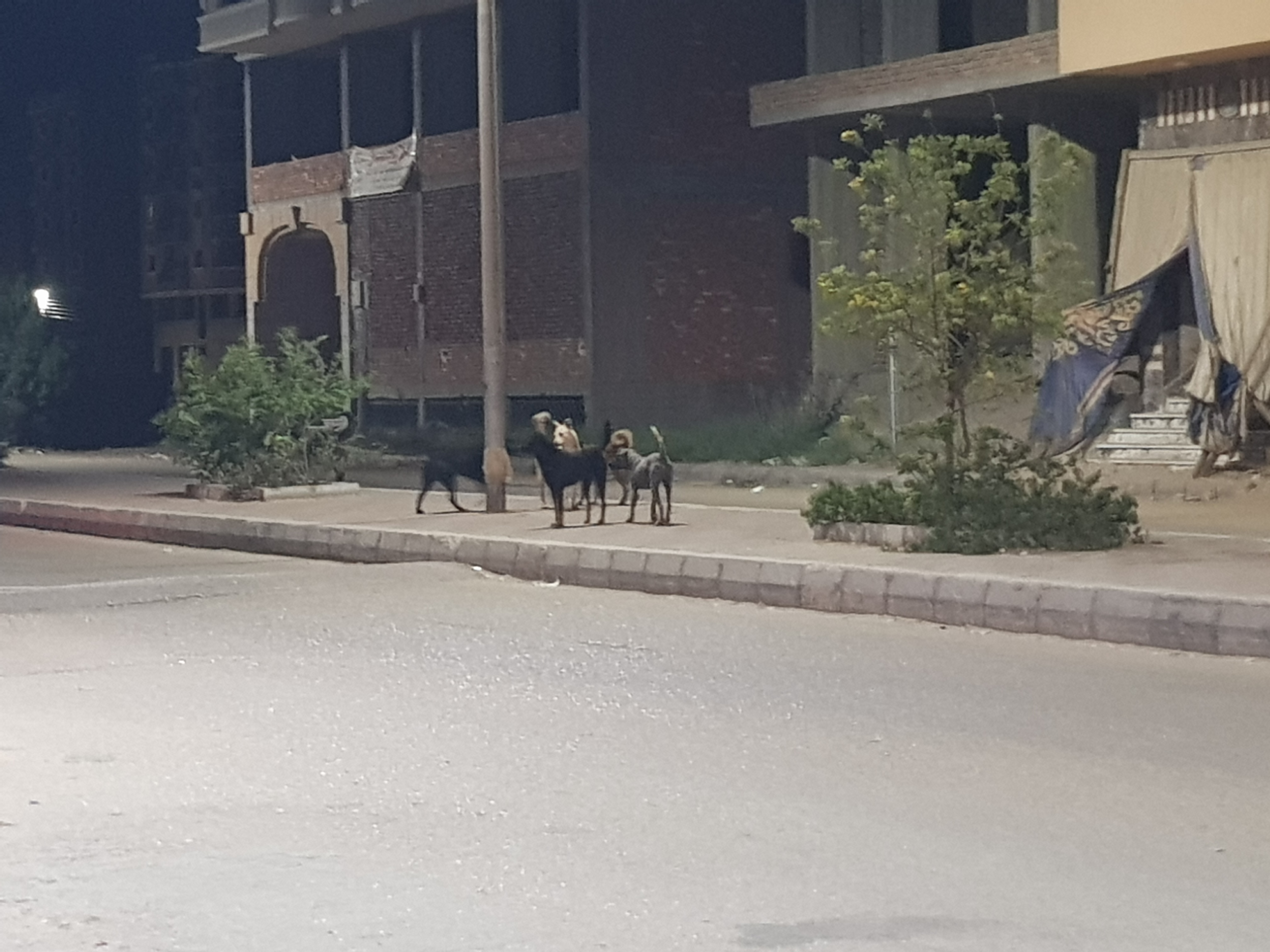 ٢٠٢٦٠٥٠٦_٠١٠٠٣٣