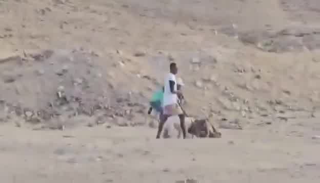 1000181852