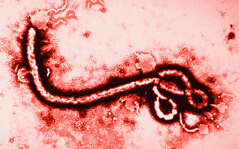 ebola-791x493