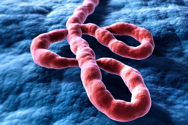 Ebola Ebola