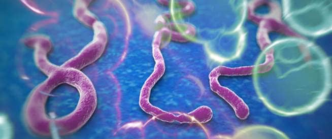 tbl_diseases_disease_3288_275