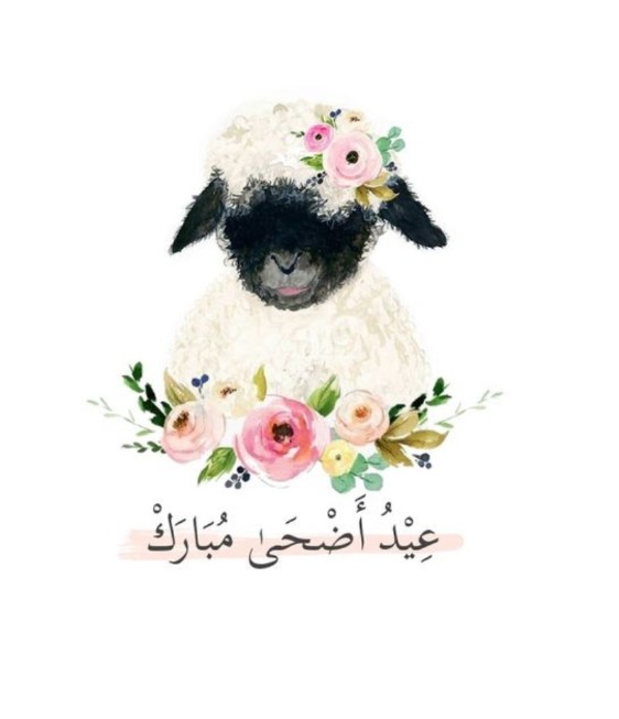 تهنئة