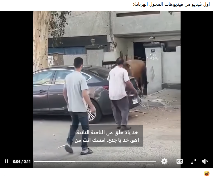 العجول
