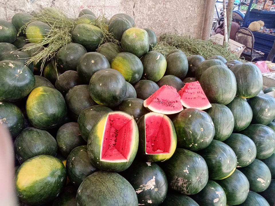 بطيخ