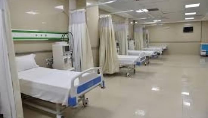 206-134259-egypt-post-circulating-hospital-alexand 206-134259-egypt-post-circulating-hospital-alexand