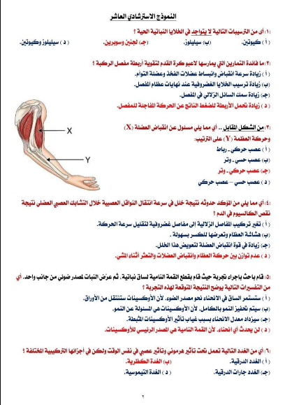 اجابات استرشادي احياء اجابات استرشادي احياء
