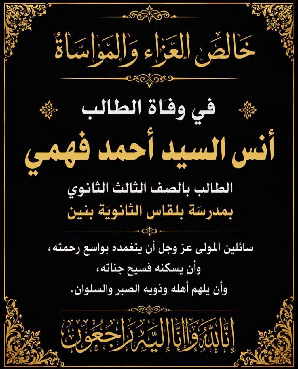 1001067954