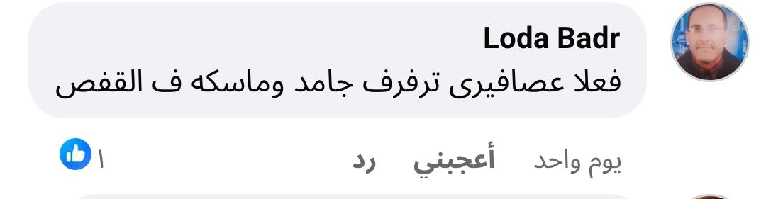 WA_1785946154589 WA_1785946154589