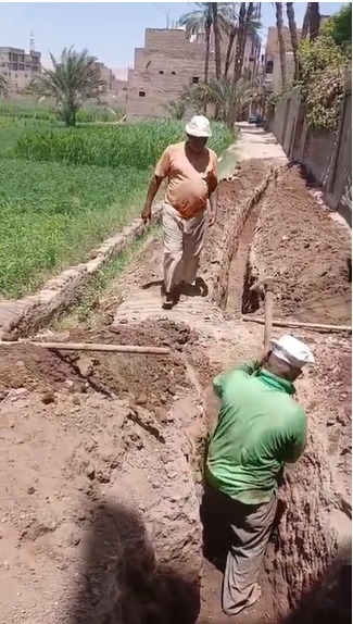 1002290294 1002290294