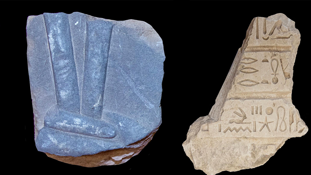 madia-image15-8-1 madia-image15-8-1
