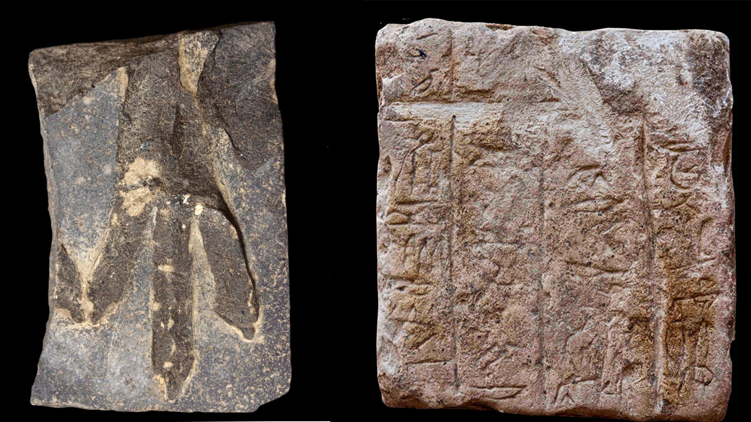 madia-image15-8-2 madia-image15-8-2