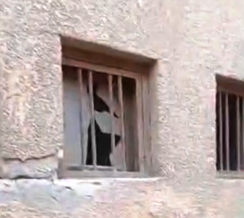 423 423