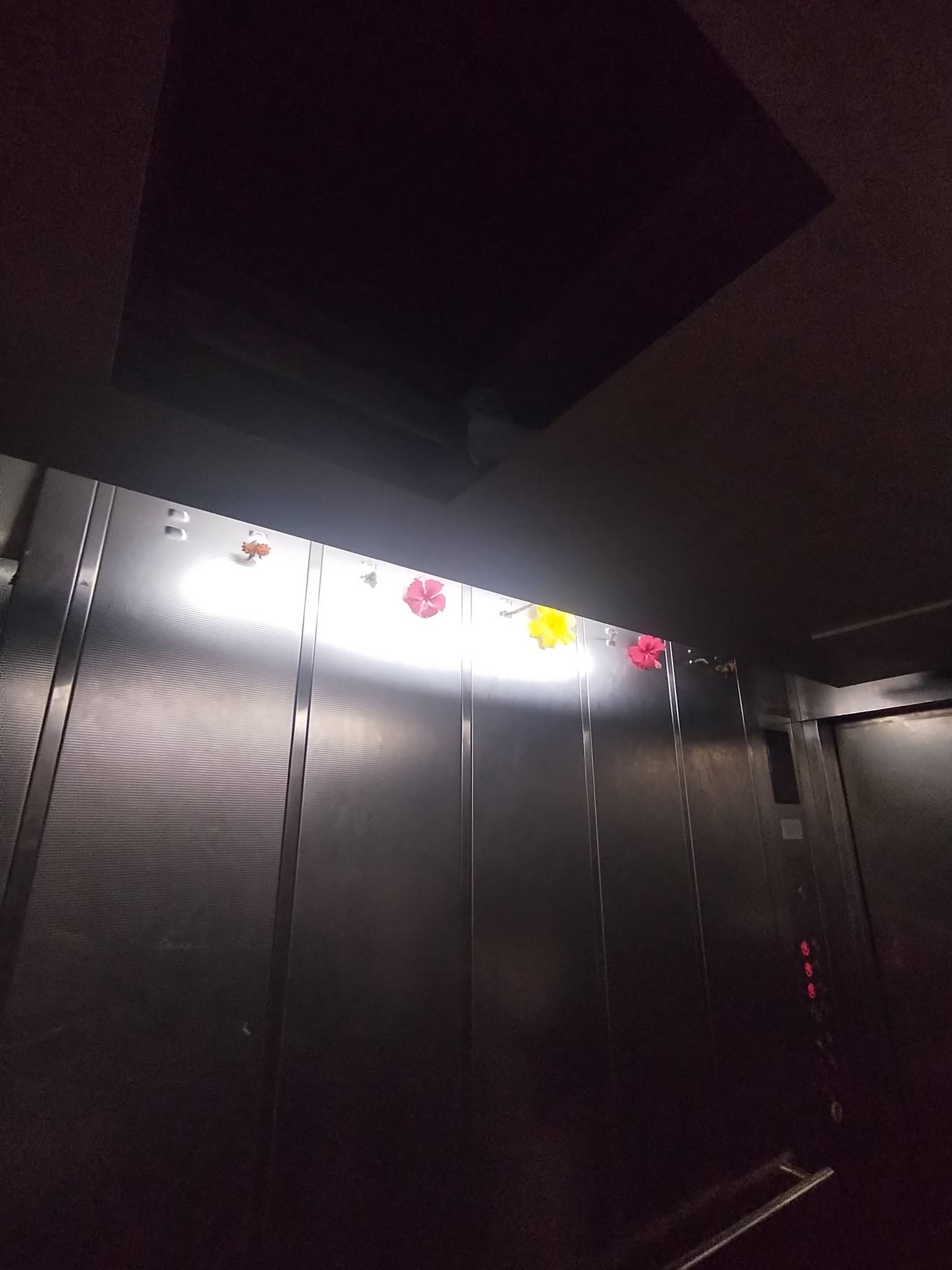 805747625_10231925781998166_985988032122639353_n