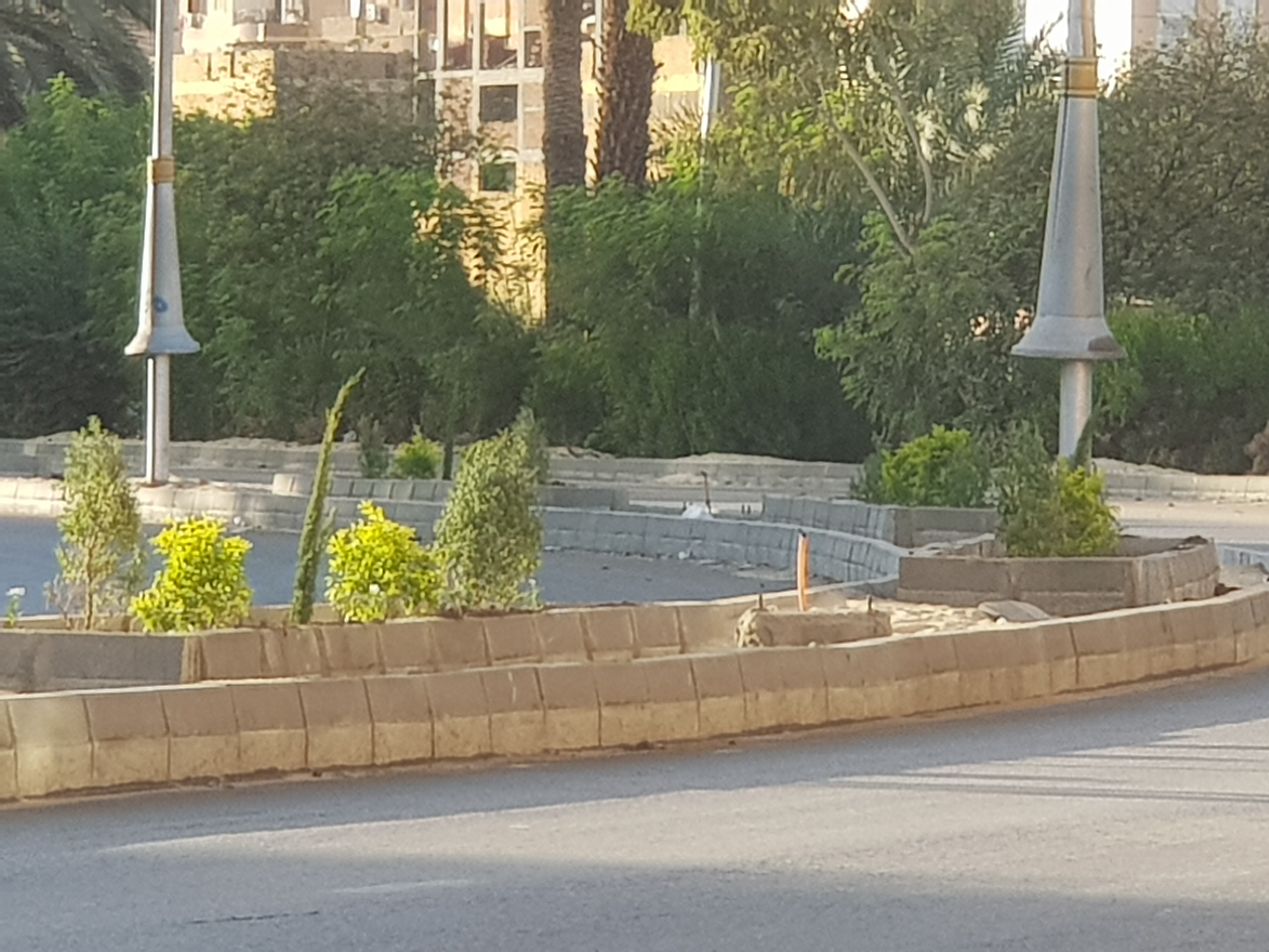 ٢٠٢٦١٠٠١_١٧٣٩٢٣