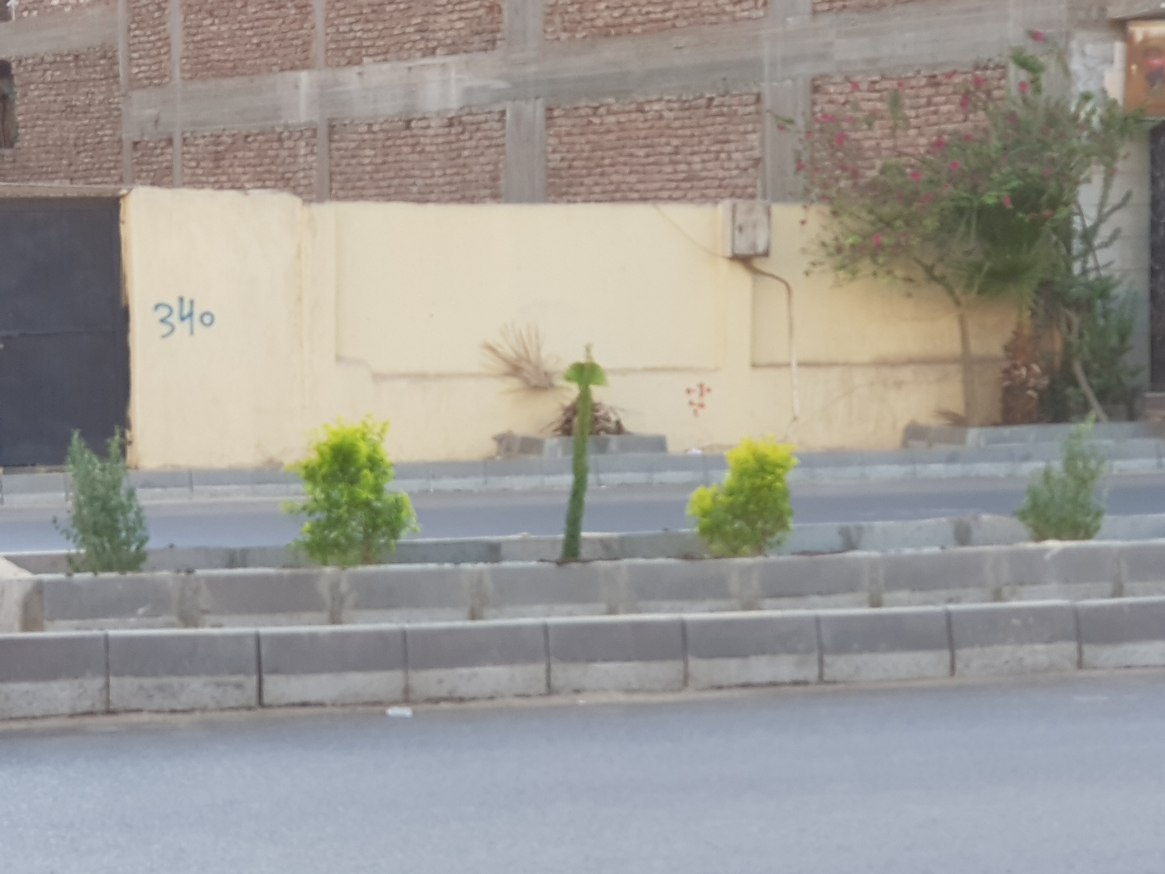 ٢٠٢٦١٠٠١_١٧٤٠٠٧