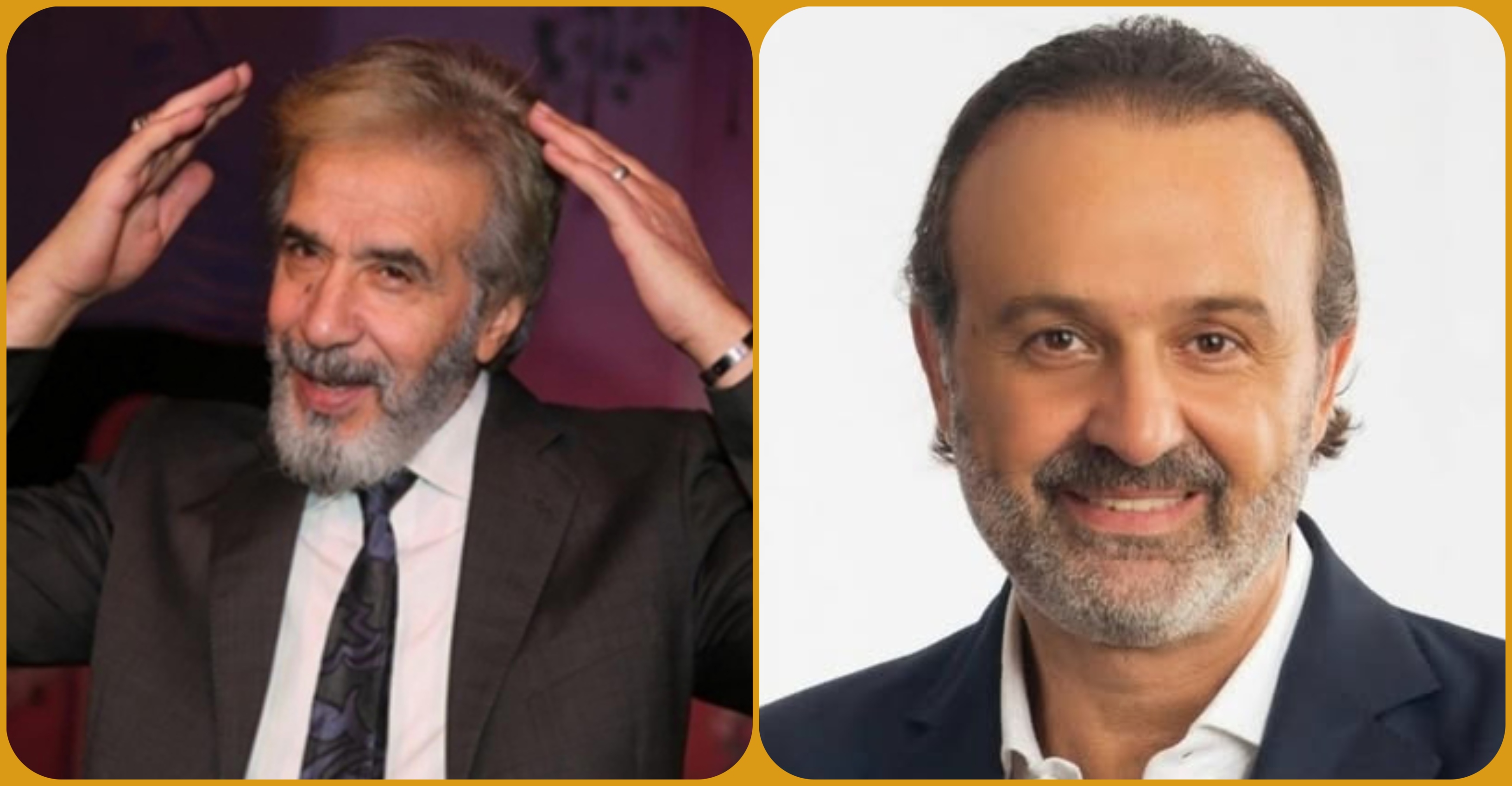 مفيد مفيد